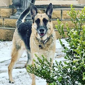 Meet your Posher, Laurie